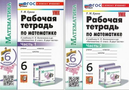 Математика к учебнику НЯ Виленкина 6 класс Рабочая тетрадь 1-2 часть комплект Ерина ТМ ФП 22-27