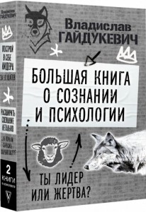 Большая книга о сознании и психологии Книга Гайдукевич В
