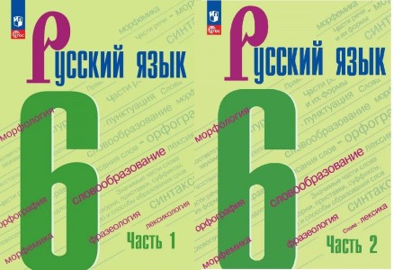 Русский язык 6 класс Учебник в двух частях 1-2 части комплект Баранов МТ Ладыженская ТА Тростенцова ЛА ФП 2022-2027