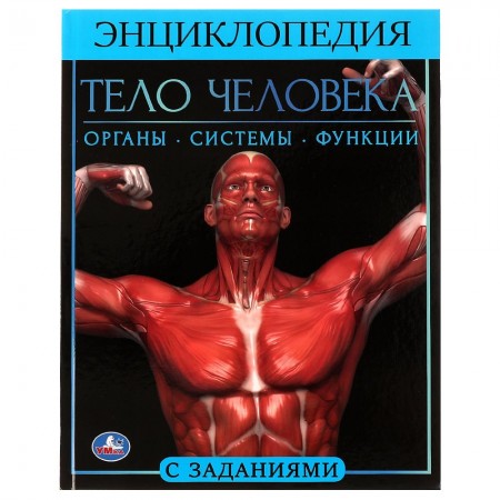 Тело человека Энциклопедия Хомякова К 0+