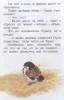 Воробьишко сказка Книга Горький М 0+